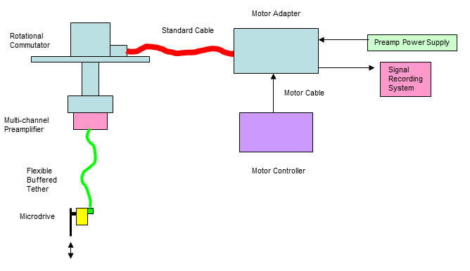 Neural Drive System diagram