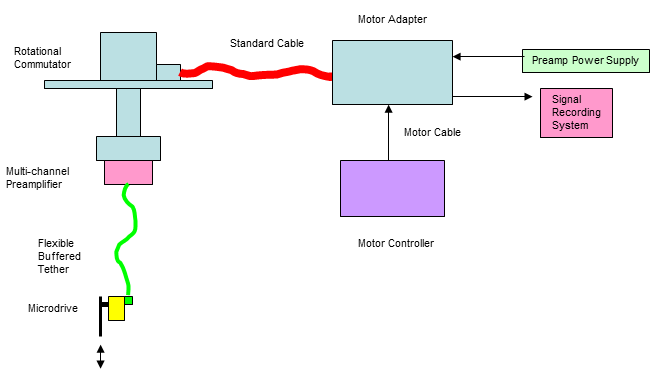 RP Metrix - Neural Drive Overview